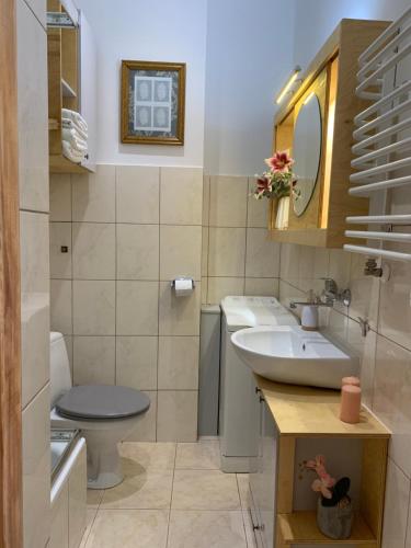 a bathroom with a sink and a toilet at Like-a House Centrum in Płock