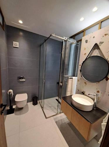 a bathroom with a shower and a sink and a toilet at Courtyard Luxury Suites “MARIANTHI” in Pefki