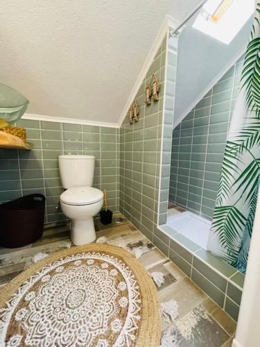 ein Badezimmer mit Toilette, Dusche und Teppich in der Unterkunft RIVER SUN in Valada