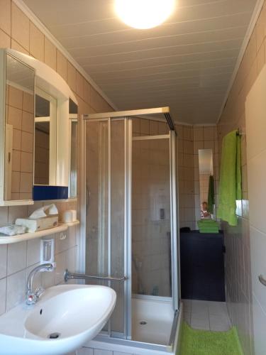 y baño con lavabo y ducha. en Ferienwohnung am Schwedenberg , Trimberg, en Elfershausen