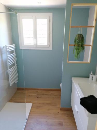 une salle de bain avec une douche en verre et un lavabo dans l'établissement Gîte Les Demoiselles des Sorgues, à LʼIsle-sur-la-Sorgue