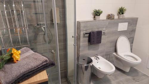 een badkamer met een douche, een toilet en een wastafel bij APARTMáN POD SMRČINOU in Vaclavov u Bruntalu