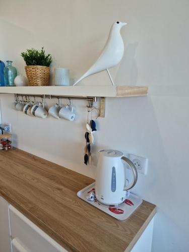 un oiseau blanc assis sur une étagère au-dessus d'un comptoir de cuisine dans l'établissement La Terrasse sur le port - La Rochelle, à La Rochelle