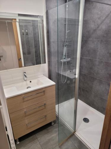 La salle de bains est pourvue d'une douche et d'un lavabo. dans l'établissement Loft hyper centre confortable et agréable, à Lille