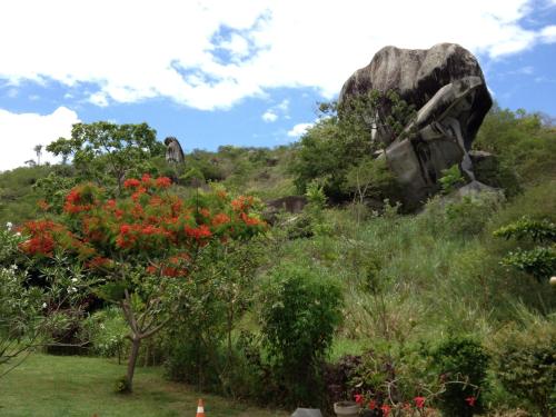 a garden with red flowers and a large rock at Pousada Aba da Serra in São Joaquim do Monte
