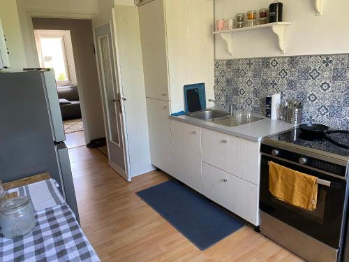 une cuisine avec un évier et une cuisinière four supérieur dans l'établissement LA PERLE - Charmant T3 à Annecy, à Annecy