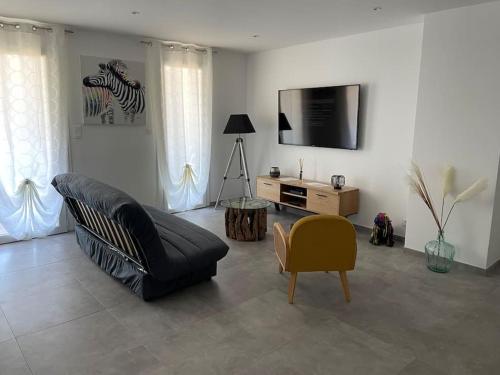 ein Wohnzimmer mit einem schwarzen Sofa und einem TV in der Unterkunft Le Pélican Magnifique F2 in Ajaccio