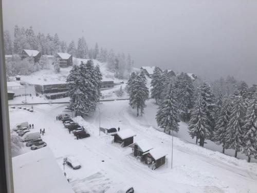 Gallery image of studio tout confort au pied des pistes du lioran in Laveissière
