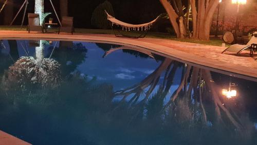 a swimming pool at night with a reflection in the water at B&B Finca la Yuca "Un paraíso en Ontinyent" in Ontinyent