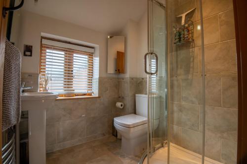 a bathroom with a shower and a toilet and a sink at Apple Tree Cottage - Cosy 2 Bed with Deluxe HOT TUB & Log Burner in Hereford