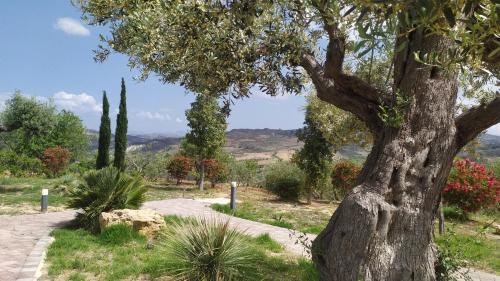 Colle dei Rustici – Photos 2