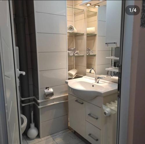 een witte badkamer met een wastafel en een douche bij Stan na dan Bor in Bor