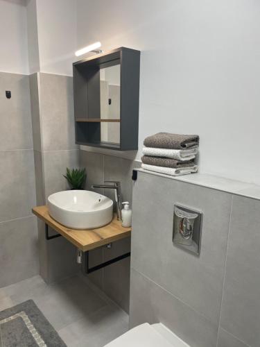 Kylpyhuone majoituspaikassa Vision G2