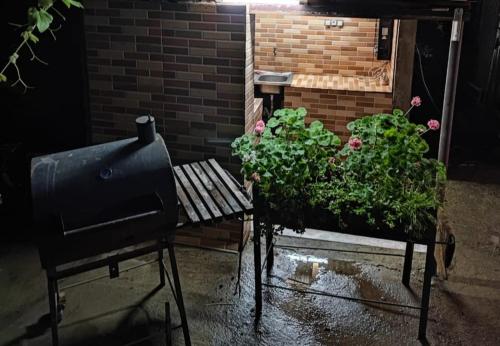 a bench and a plant next to a brick wall at Guest House MARTA in K'obulet'i