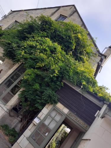 a building with plants on the side of it at The Barge Inn in Bradford on Avon
