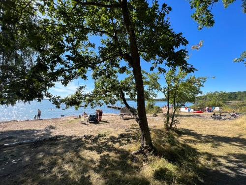 a group of people on a beach with a tree at Villa Bergåsa in Karlskrona