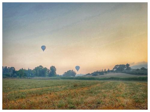 two hot air balloons flying over a field at בית בעמק in Merhavyāh