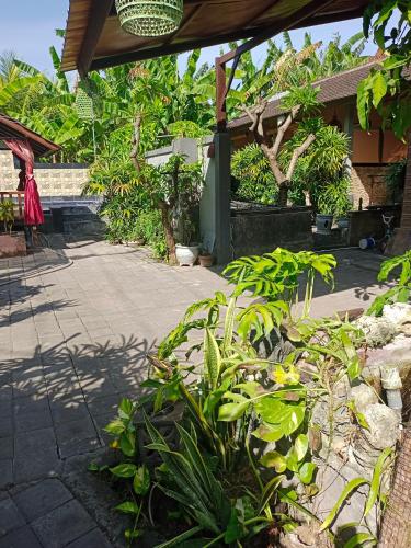 Zahrada ubytování Putu Guest House Pemuteran
