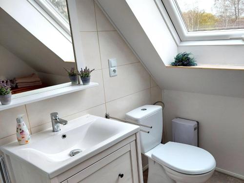 GladauAttic Holiday Home with Garden and Grill的一间带水槽和卫生间的浴室以及窗户。