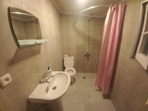 y baño con lavabo, aseo y ducha. en Veli Guest House • საოჯახო სასტუმრო ველი, en Zemo Alvani