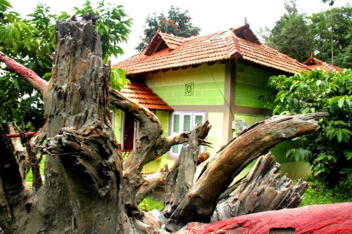 a large uprooted tree in front of a house at Stream Garden Mountain Resort in Kalpetta