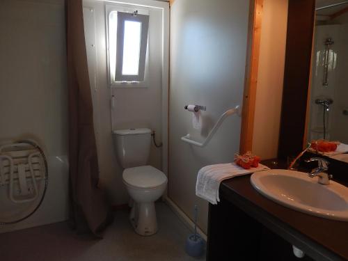a bathroom with a toilet and a sink at Cottages du Lac de Miel in Beynat