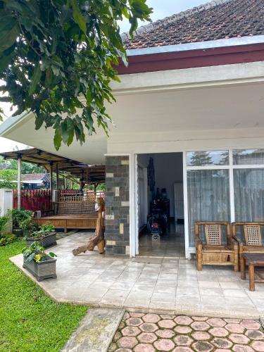 misia siedzącego na patio domu w obiekcie Hostel Wees een Kind w mieście Malang