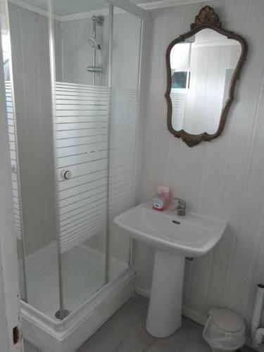a bathroom with a shower and a sink and a mirror at auberge des garrigues in Nîmes