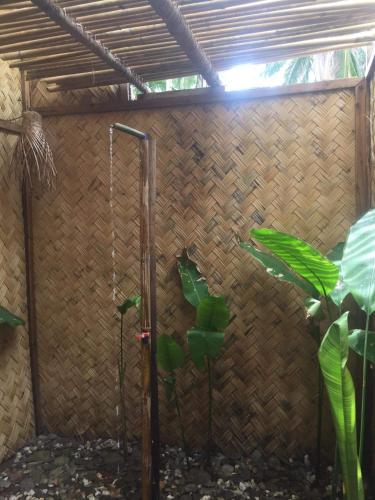 a bathroom with a shower with a plant in it at Prince John Beachfront Eco Bungalows and Restaurant in San Vicente