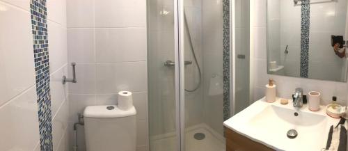 une salle de bain avec une douche, des toilettes et un lavabo dans l'établissement Appart clim et parking - entrée quartier naturiste, au Cap d'Agde