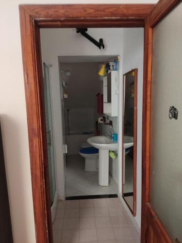 ein Badezimmer mit einem Waschbecken, einem WC und einem Spiegel in der Unterkunft Casina vicino al Vico in Vatolla