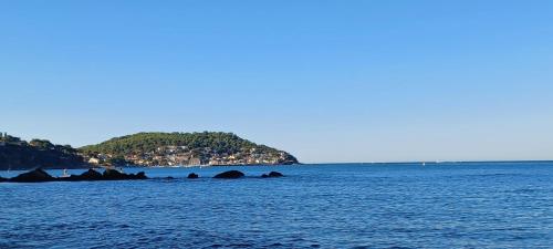 Φυσικό τοπίο κοντά σε αυτό το διαμέρισμα