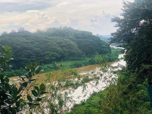 a view of a river from a hill with trees at Kandy River Garden in Kandy