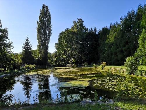 a pond with lily pads in a park at L'Atelier du Ru in Génainville