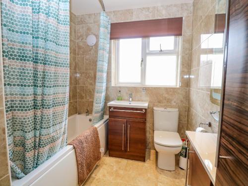 a bathroom with a toilet and a sink and a shower at Birch Cottage in Norwich