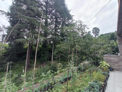a garden with trees in the background at Georgy's Holiday House in Batumi