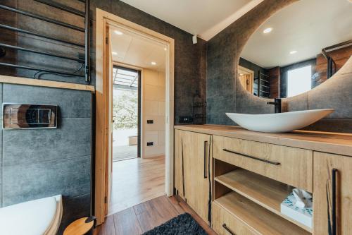 a bathroom with a sink and a mirror at Salnēni in Vecpiebalga