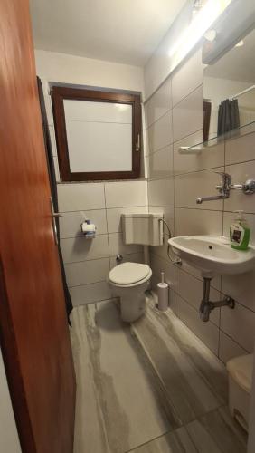La salle de bains est pourvue de toilettes et d'un lavabo. dans l'établissement FELICITA, à Fužine