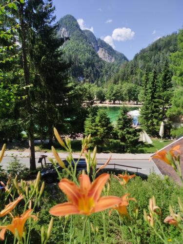 Photo de la galerie de l'établissement Hiša ob jezeru - House by the Lake, à Kranjska Gora