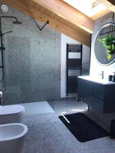 uma casa de banho com um lavatório, um WC e um chuveiro em Sotto La Vigna Charm Stay Adults only vacation Appartement Hayloft em Montegrosso dʼAsti