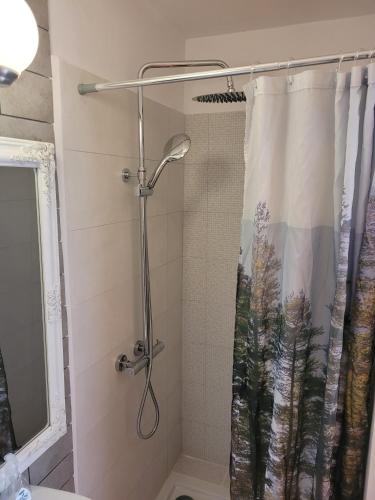 a shower with a shower curtain in a bathroom at Uroczysko Skomackie in Stare Juchy