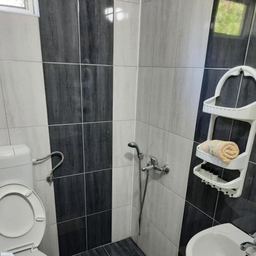 y baño con aseo y ducha. en Apartmani Milica Dojran, en Star Dojran