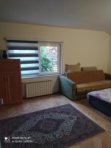 uma sala de estar com um sofá e uma janela em Apartman Mickey em Sarajevo
