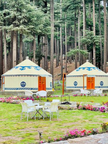 Fotografie z fotogalerie ubytování The Glamping Spot Kalam v destinaci Kalām