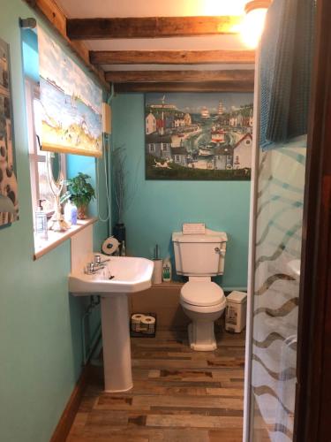 łazienka z toaletą i umywalką w obiekcie Soldiers Cottage, with HOT TUB, dog friendly, great views w mieście Hereford