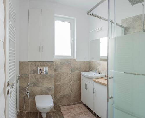 a bathroom with a toilet and a sink at Solomon Apartments Ap 3 in Sângeorgiu de Mureș