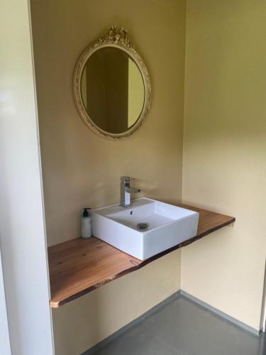 a bathroom with a white sink and a mirror at Tiny house, pipowagen onder de kastanje in Aalten