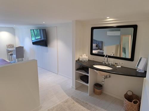 łazienka z umywalką i dużym lustrem w obiekcie Rêveries w mieście Roeselare