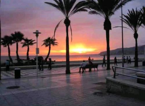 المناظر الطبيعية بالقرب من الشقة