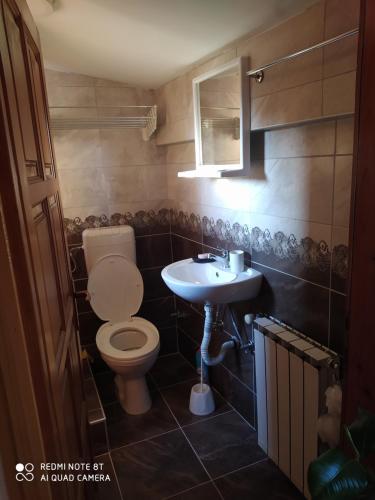 uma casa de banho com um WC e um lavatório em Apartman Mickey em Sarajevo